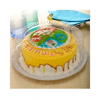 EMBALAGEM TORTA MÉDIA 1,7KG G 56M COM 50UN - GALVANOTEK