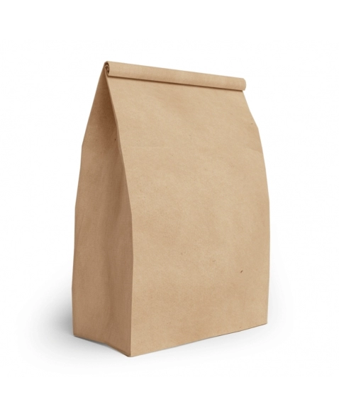 SACO PAPEL FAST FOOD 10KG 22X28X13 70G C/100