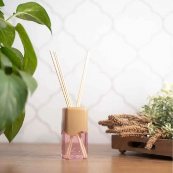 DIFUSOR COALA ROMA 100ML